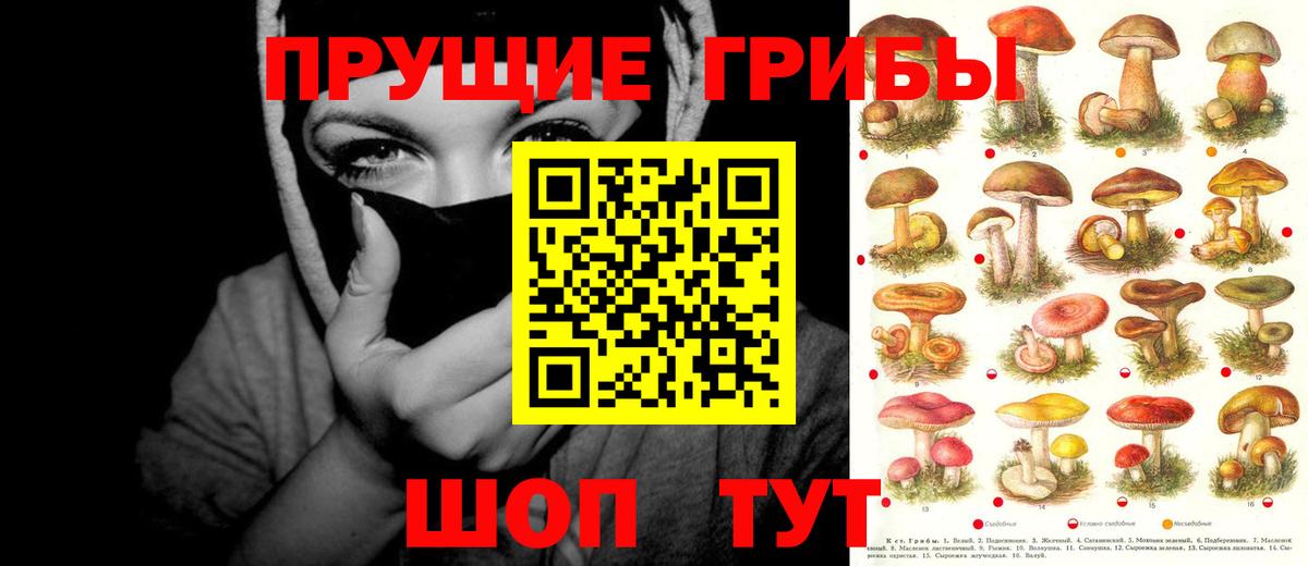 Псилоцибиновые грибы Cubensis Алапаевск